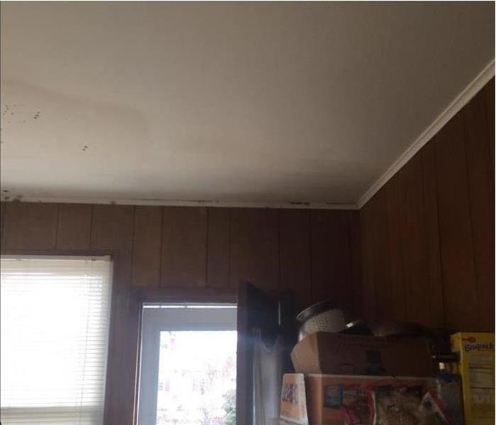 Visible mold growth on the ceiling of a wood paneled room. 